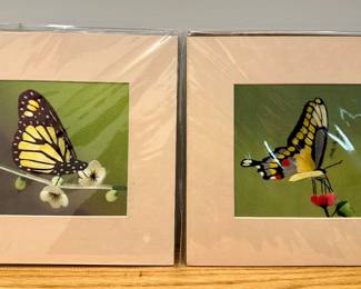 Silk Embroidery Butterflies