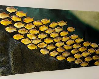 "School of Fish" Metal 3-D Wall Art