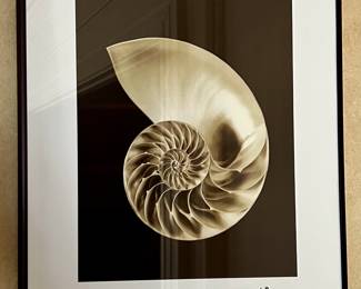 Signed Shell Photograph