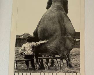World Press Photo Print - "My Pal the Elephant" by Mike Hollist