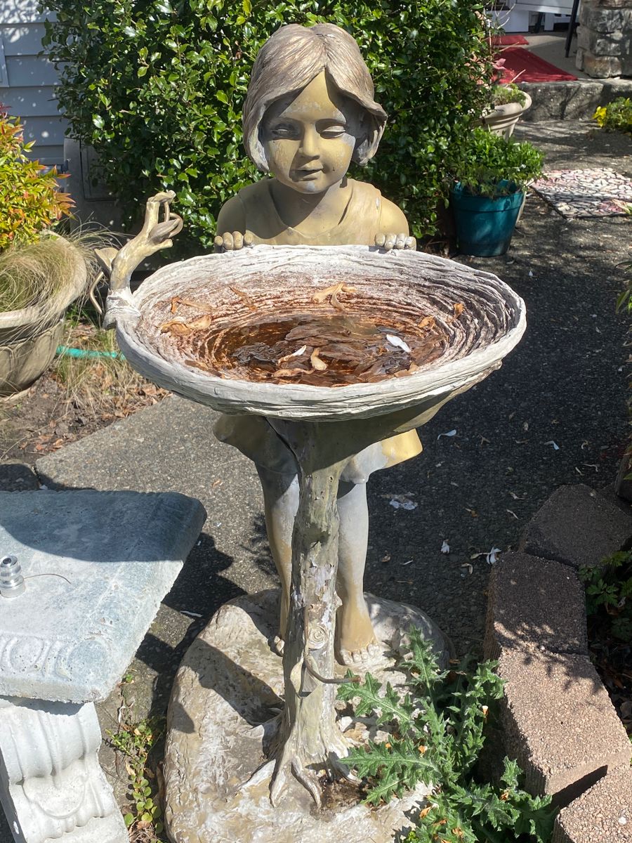 Bird Bath