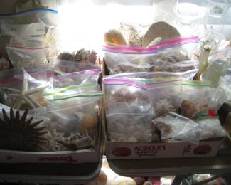 BAGS OF SHELLS