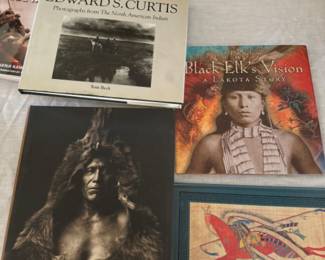 Native American books 