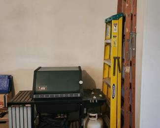 Gas grill, ladders
