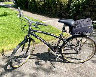 Specialized Globe bike