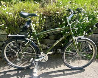 Specialized Globe bike