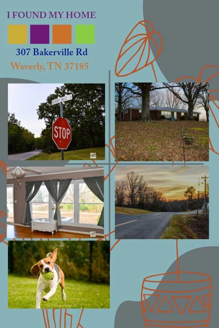 307 Bakerville Rd Collage Resized