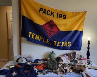 Boy Scout Plus Mystery Lot