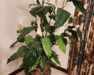 Decorative Plant