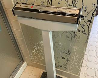 Health-O-Meter Scale