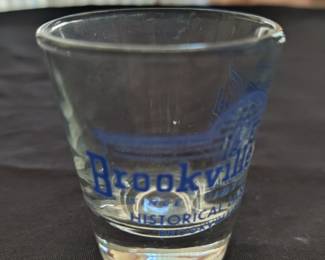 COLLECTIBLE SHOTS GLASSES - $.50 EACH