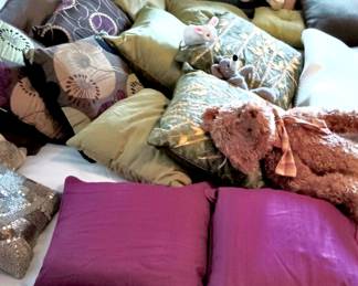 Assortment of Throw Pillows
