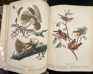 Audubon's The Birds of America, 1937 printing