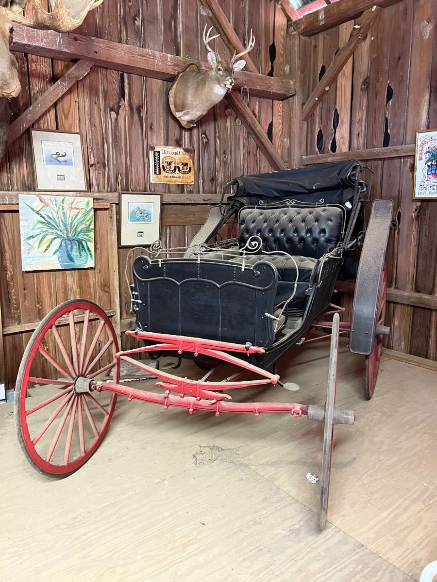 Antique Horse Buggy/Carriage