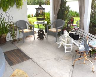 Begin Back Yard Close Up Photos