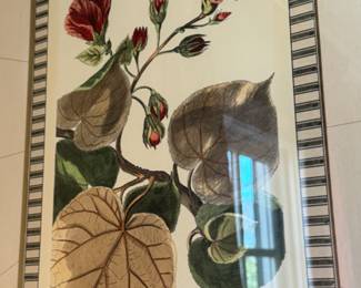 Pair of Botanical prints  frame size                                         26"h x 22"w 