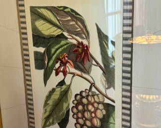 Pair of Botanical prints  frame size                                        26"h x 22"w 