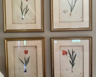 Set of four botanical prints                                                        frame size  22"h x 18"w 