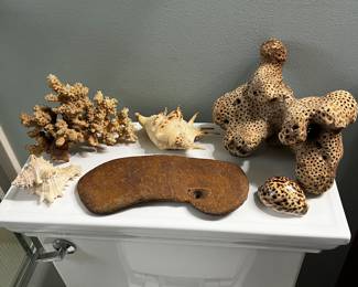 Coral, Seashells, Sponge, Lucky Rock