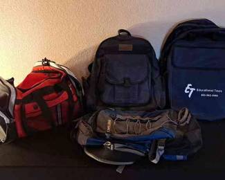 5 Backpack Lot