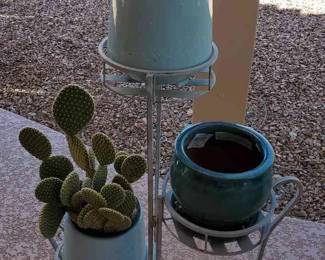 Cactus With Stand