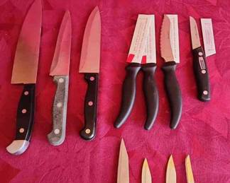 11 Assorted Stainless Steal Knives