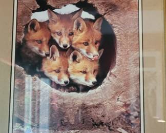 #154 Photograph of a den of foxes