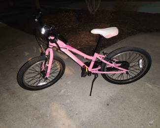 Pink Trek Kids Bike