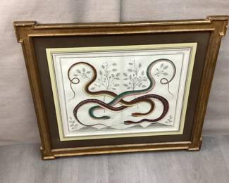 Albertus Seba (1665-1736)