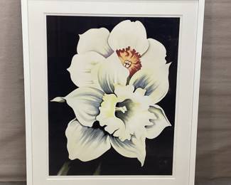 Lowell Nesbit Large Printer’s Proof