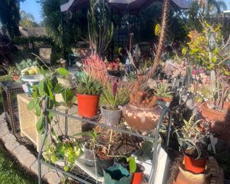Our client not only had a great love of jewelry but she cultivated succulents as well! The yard is FABULOUS 👌 