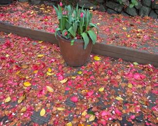 More for sale during in-person shopping Friday and Saturday