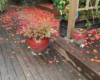 More for sale during in-person shopping Friday and Saturday u.nless photographed separatel