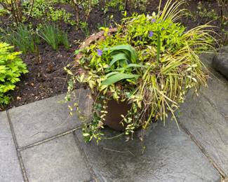 More for sale during in-person shopping Friday and Saturday.