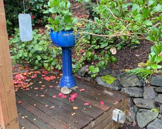 More for sale during in-person shopping Friday and Saturday.