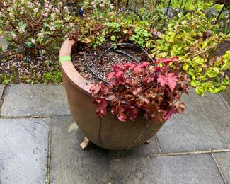 More for sale during in-person shopping Friday and Saturday.