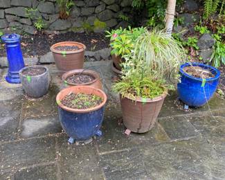 More for sale during in-person shopping Friday and Saturday. 