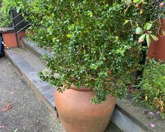 More for sale during in-person shopping Friday and Saturday