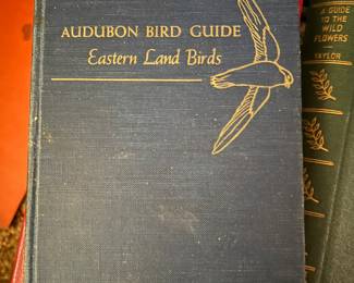 Audubon bird guide