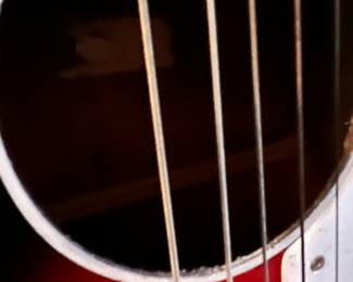 Guitar with steel enforced neck