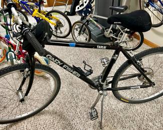 Gary Fisher Taikai Mountain Bike 
19” frame (26” wheels) $150