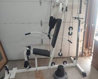 Weight machine with weights