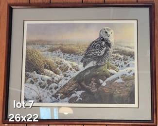 Snowy owl framed print