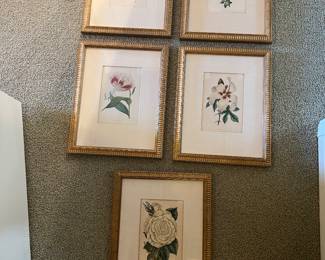 Set of 5 botanicals
$400