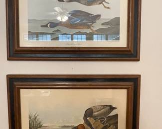 Pair of Audubon duck prints