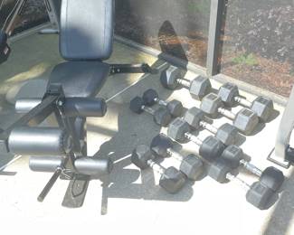 Dumbbells with Marcy leg lift bench