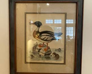1800’s hand colored lithograph of duck
