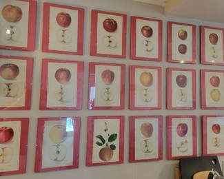 Apples, apples, on the wall!