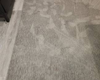 Gray area rug