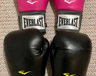 Everlast Punching Gloves
